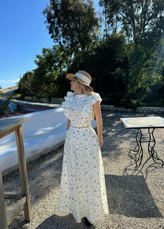 SET ME CROP DHE FUND