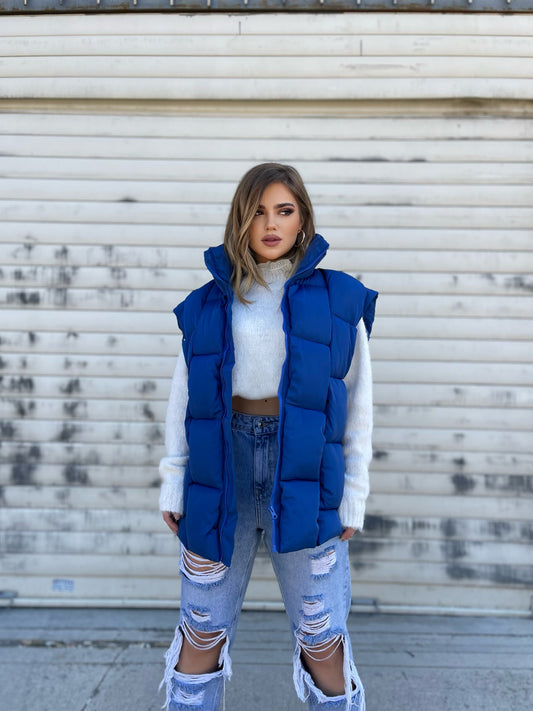 JELEK PUFFER