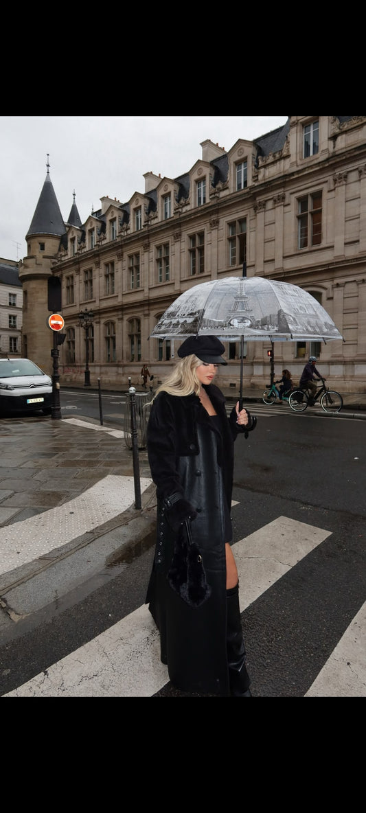 TRANSPARENT PARIS UMBRELLA